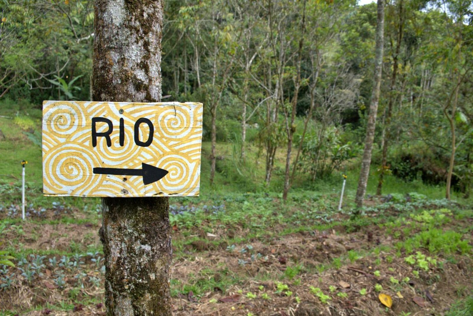 Villa Ritmo del Rio San Rafael  Esterno foto