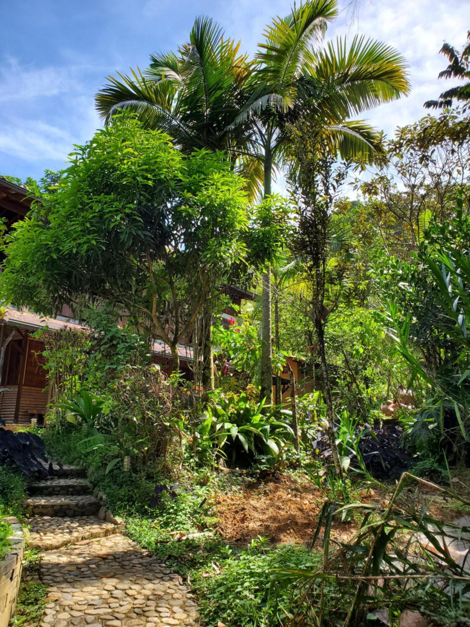 Villa Ritmo del Rio San Rafael  Esterno foto